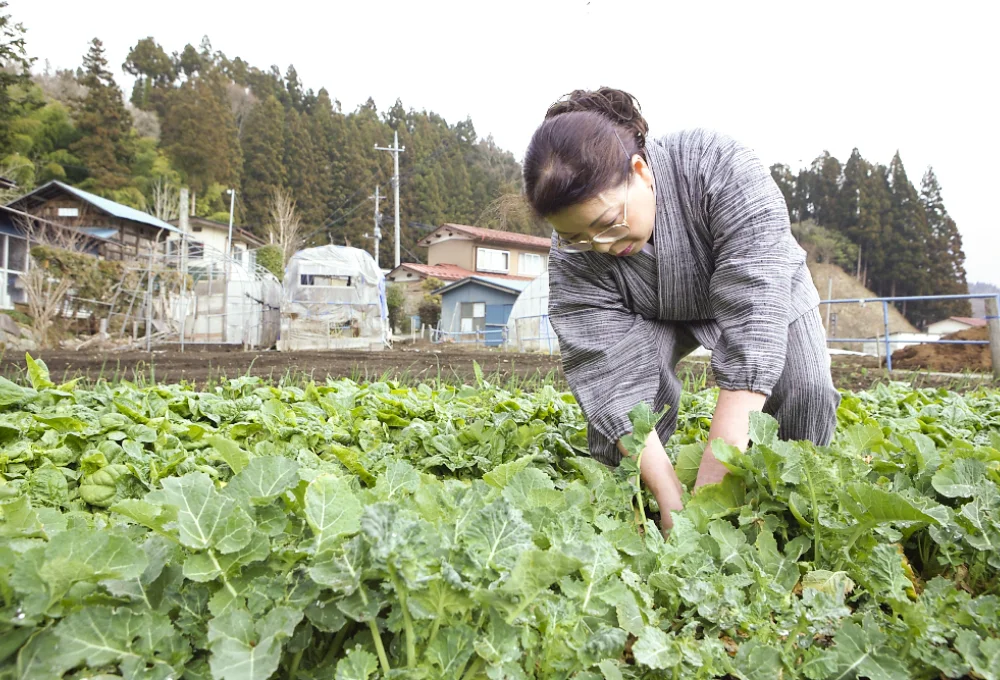 自家菜園の野菜